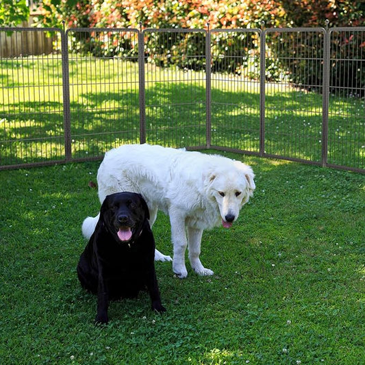 FXW Aster Dog Playpen Designed for Yard, 40inch 8 Panels