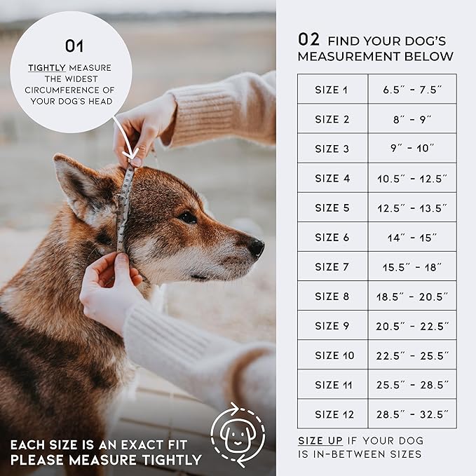 MADE TO ROAM Premium Everyday Dog Collar - Martingale Style No Pull Vegan Leather Collar, Heavy Duty and Lightweight for Small, Medium, Large Dogs (Vermont Weekends, Size 10)