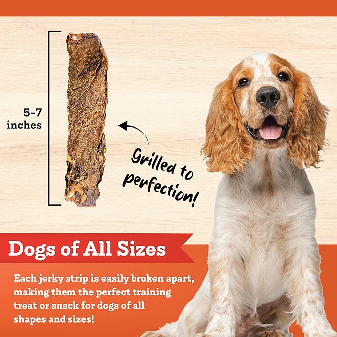 Colorado Naturals Lamb Jerky Strips Dog Treats, 16 oz – All-Natural, Made in USA, No Fillers or Preservatives – Rich in Vitamins and Minerals