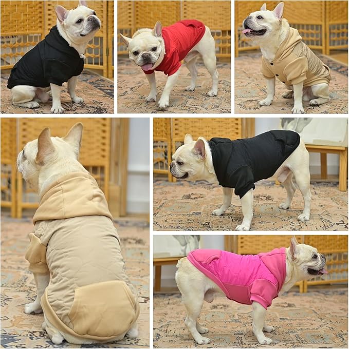 KOOLTAIL Warm Dog Winter Coat for Small Dogs, Waterproof Puppy Jacket with Leash Hole, Cold Weather Pet Vest for Winter, Soft Pet Hoodie Sweater Sweatshirt Clothes for Puppy Cats Girls Boys Black M