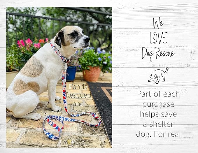 Lucky Love Dog - Easy Click Buckle Dog Collar with Leash Set Combo, Durable & Comfortable for Male & Female Dogs, Pet Collar for Small to Large Dogs, Secure Fit - Sweet Berry Combo, Large
