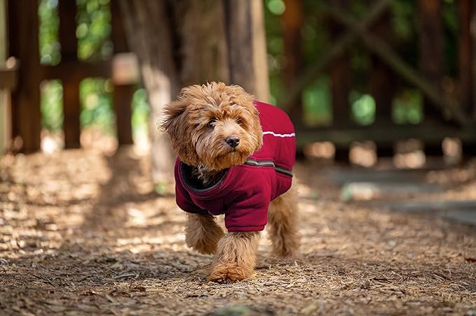 BoxDog Polar Fleece Warm Dog Jacket I Cold Weather Dog Coat | Dog Jackets Size XS, Small, Medium, Large, XLarge, XXL (XX-Large, Red)