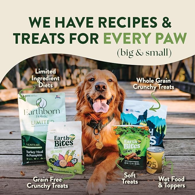 Earthborn Holistic Venture Turkey Meal & Pumpkin Limited Ingredient Diet Grain-Free Dry Food for Adult Dogs (25 lb. Bag)
