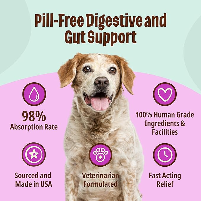 Licks Pill Free ElderDog - Older Dog Vitamins and Supplements - Joint & Immune Support Supplements for Dogs - Dog Coat & Digestion Supplement for Senior Dogs - Gel Packets - Roasted Chicken, 30 Use