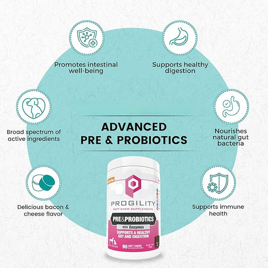 Nootie Progility Pre & Probiotic Supplement, Digestive Aid Supplement for Dogs, 90 Soft Chews per Container