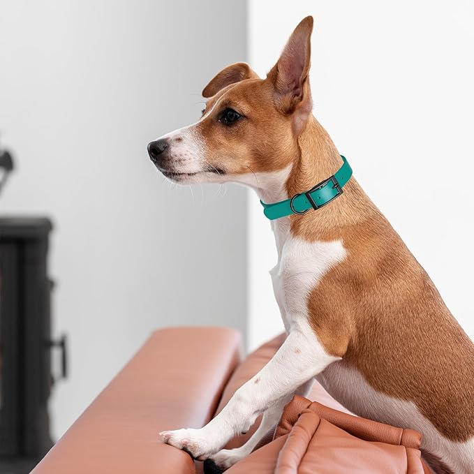 Dogline Biothane Coated Webbing Dog Collar with Black Metal Hardware: Durable Easy-Clean Everyday Collar for Dogs - Comfortable Adjustable Odor-Resistant Pet Collar, W1.5 x L20-24", Blue Aqua