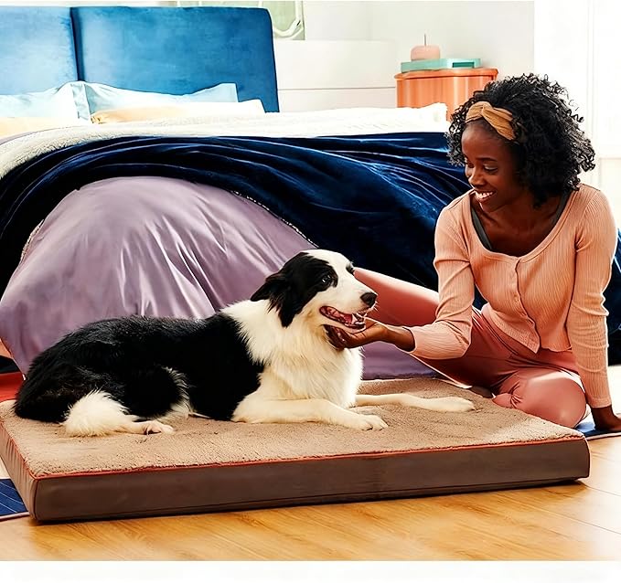Dog Bed with Waterproof Inner Liner, Removable Cover, Egg Crate Foam Dog Beds, Easy to Clean，30×20Inch，Gray