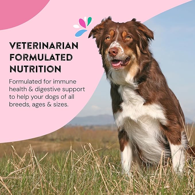Dog Gut Health Probiotics Supplement | Improves Digestive Health and Immune System Support for Dogs and Puppies | All Natural Ingredients Tasty Kibble Dog Food Topper | 60 Count Pack