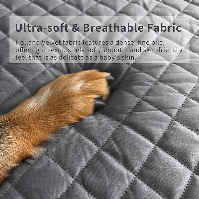 Orthopedic Dog Bed for XXL Large Sized Dogs - Egg Crate Foam Pet Bed with Waterproof & Machine Washable & Non-Slip Bottom, Ideal Dog Beds for Crate and Indoor Use, 47x29 Inch, Dark Grey