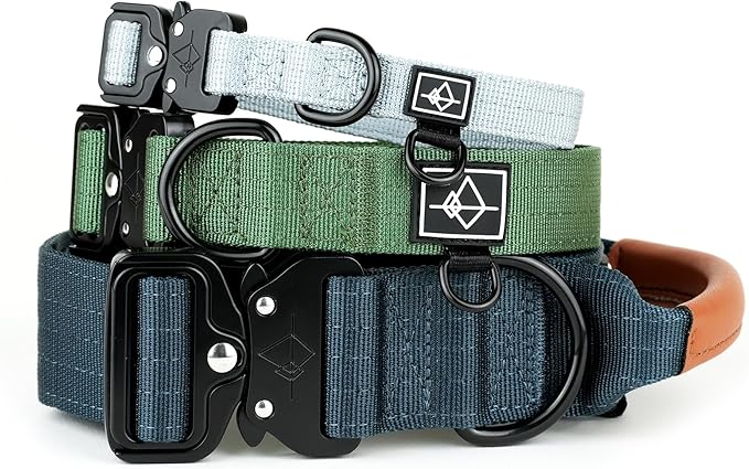 Made to ROAM Premium Dog Collar - Adjustable Heavy Duty Nylon Collar with Quick-Release Metal Buckle (Colorado Nightsky, Classic Size 0)