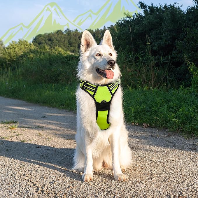 Eagloo Dog Harness for Large Dogs, No Pull Service Vest with Reflective Strips and Control Handle, Adjustable and Comfortable for Walking, No Choke Pet Harness with 2 Metal Rings, Green, XL
