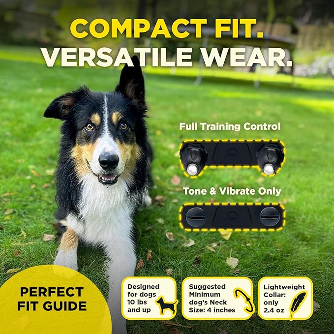 Dogtra 200iQ Remote Training E Collar – 100 Levels, Tone, Vibration, 1/2 Mile Range – Compact, Waterproof, One-Handed Control for Dogs 10 lbs+ – Lightweight Design for Daily Training – Abstract Blue