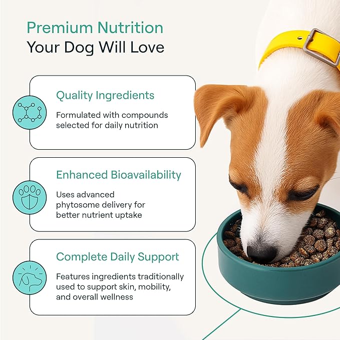 Dog Food Supplement – Multivitamin Powder for Dogs - Bone Broth Base with 6 Human-Grade Superfoods - Supports Joints, Gut, Skin & Coat - Ideal for Picky Eaters, Under 35 lbs - 30 Packets