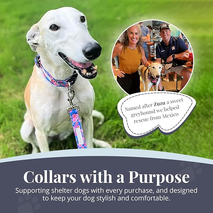 Lucky Love Dog - Adjustable Dog Collar with Easy Click Buckle for Small to Large Dogs, Durable, & Comfortable Collar for Male & Female Dogs, Pet Collar for Puppies & Adult Dogs - Zuzu, XS