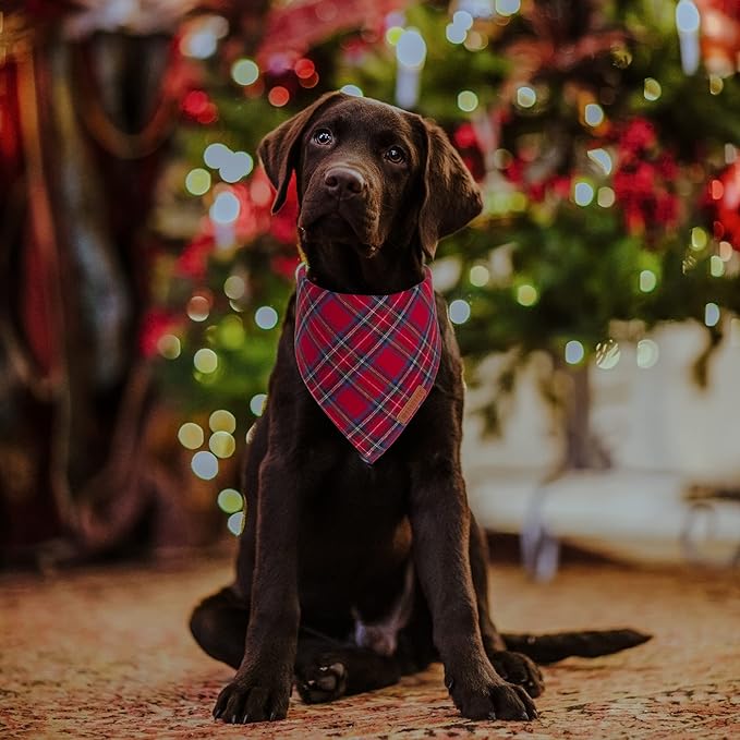 ADOGGYGO Christmas Dog Bandana 2 Pack, Stylish Plaid Pet Scarf, Premium Cotton Fabric, Multiple Sizes Offered, Christmas Bandanas for Medium Large Dogs Pets (Large)