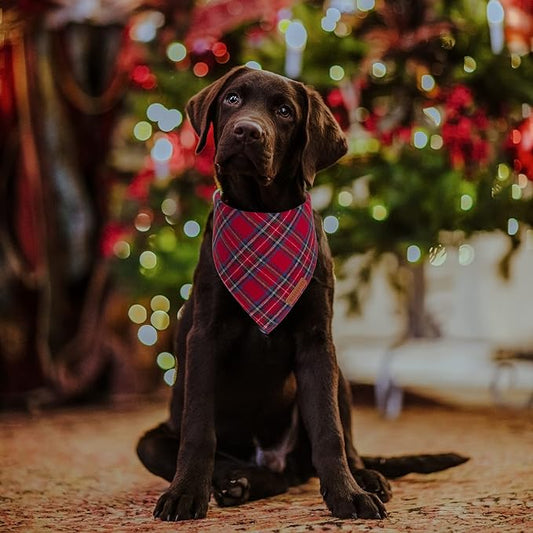 ADOGGYGO Christmas Dog Bandana 2 Pack, Stylish Plaid Pet Scarf, Premium Cotton Fabric, Multiple Sizes Offered, Christmas Bandanas for Medium Large Dogs Pets (Large)