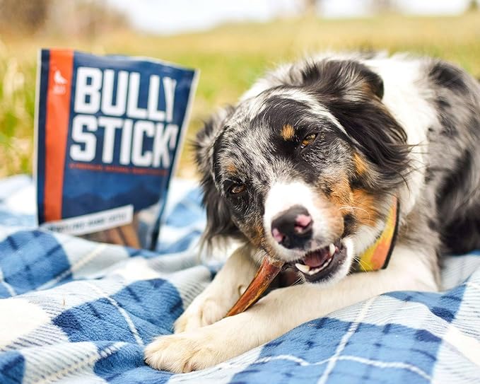 Wild Wolf 12-inch Half-Cut Bully Sticks (1 Pound/~12 Sticks) 100% Natural and Full of Nutrients - Best for Small to Medium Dogs - Natural Toothbrush - Hand-Inspected and Packed with Love in The USA