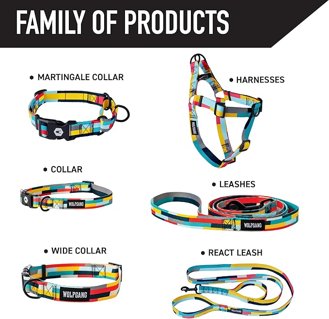 Wolfgang Heavy Duty, Adjustable Dog Collar with Quick Release Nylon Buckle for Walking & Training, Mixtape Print, Large