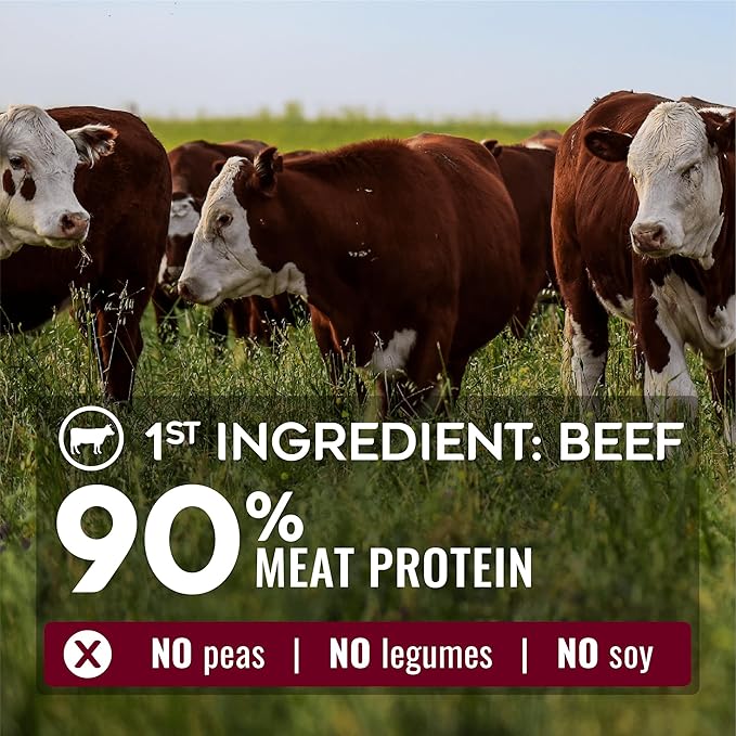 NATURE'S LOGIC Pure Naturals™ 100% Natural Beef Recipe Synthetic-Free Dry Dog Food, 12 lbs