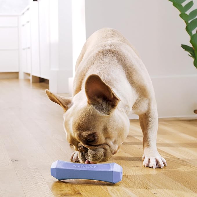 Playology Dog Toys | Durable Squeaky Chew Stick for Dogs | Medium Blueberry Scented Toy - Easy to Clean and Made from Non Toxic Materials