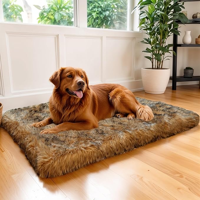 MAVERICK Premium Dog Bed, Orthopedic Dog Bed with High-Grade Memory Foam, Luxurious Faux Fur Sleep Surface, Water-Resistant Liner, Removable & Washable Cover, Non-Slip Bottom for Comfort & Support