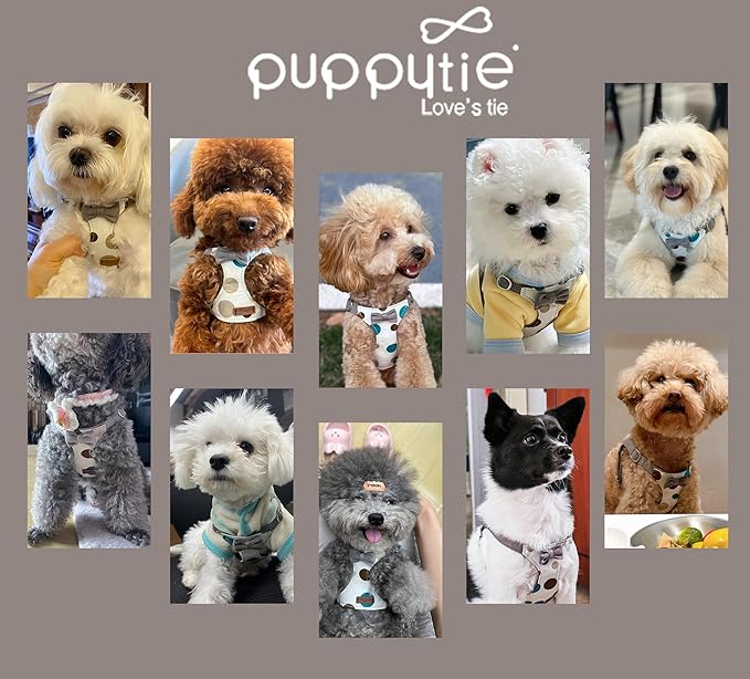 Puppytie No Pull xs Dog Harness with Multifunction Dog Leash,Soft Adjustable No Choke Escape Proof Pet Harness Vest,Smoke Grey,XS