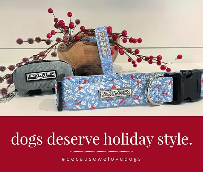 Lucky Love Dog - Adjustable Dog Collar with Easy Click Buckle for Small to Large Dogs, Durable, & Comfortable for Male & Female Dogs, Pet Collar for Puppies & Adult Ones - Winterblue, XS