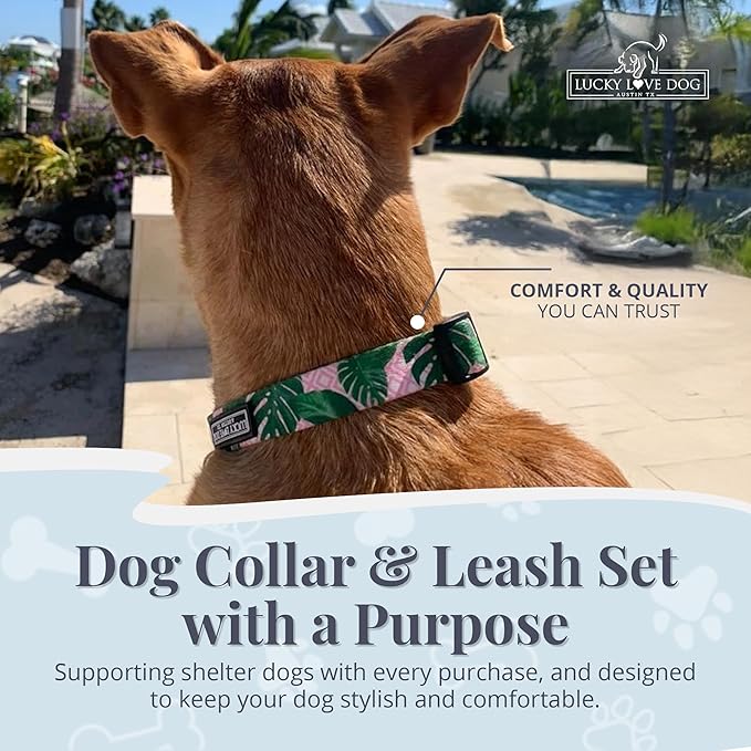 Lucky Love Dog, Tropical Matching Dog Collar & Leash Set, Soft & Comfy, Vivid Pink Color Collar and Leash for Female Male Dogs - (X-Small, Laguna Combo)