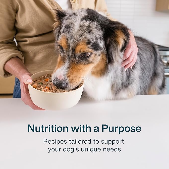 JustFoodForDogs Sensitive Skin Dog Food, Frozen Fresh Pet Meals and Toppers for Skin and Coat, Human Grade, Fortified with Omega 3, Highly Digestible, White Fish - 18-oz, 14 Pack