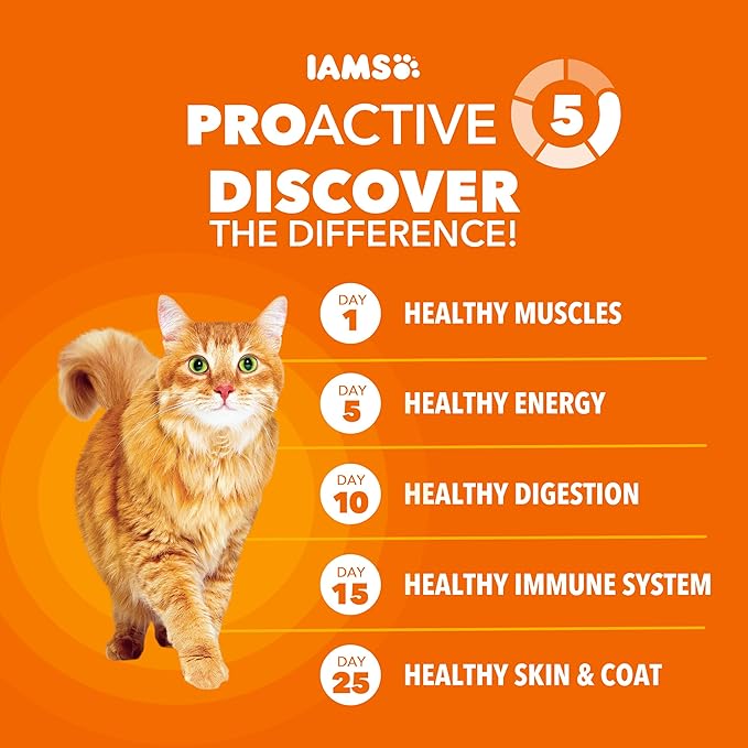 IAMS Proactive Health Adult Healthy Dry Cat Food with Real Salmon, 16 lb. Bag