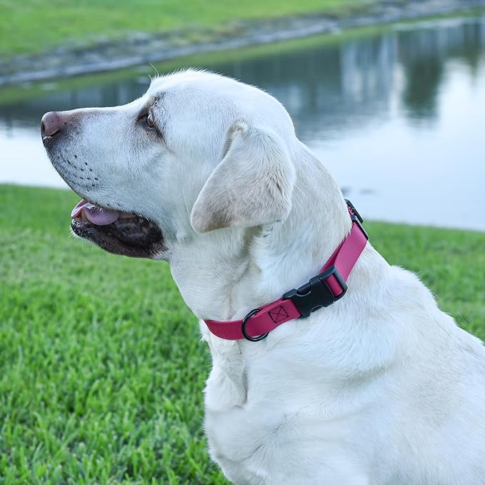 Dogline Durable Biothane Waterproof Collar for Dogs - Odor-Resistant Coated Webbing, Quick-Release Design, Comfortable Adjustable Fit, 1" W by 15-25" L,Magenta Pink