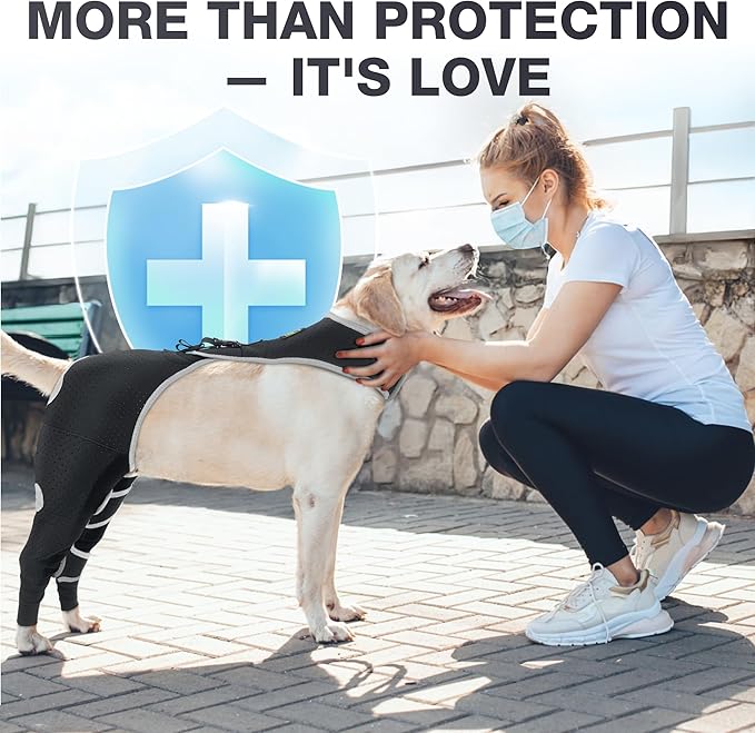 Dog Hind Rear Leg Recovery Sleeve, Breathable Lick Prevention for Dog Wounds, Reflective Adjustable Cone Alternative - Size M