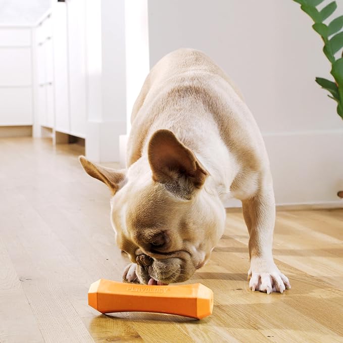 Playology Dog Toys | Durable Squeaky Chew Stick for Dogs | Medium Cheddar Cheese Scented Toy - Easy to Clean and Made from Non Toxic Materials