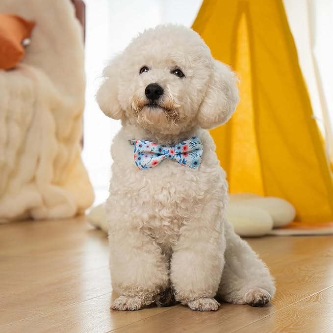 azuza Dog Collar with Bow Tie, Soft and Comfortable Adjustable Bowtie Dog Collar for Medium Dogs (M, Gerbera)