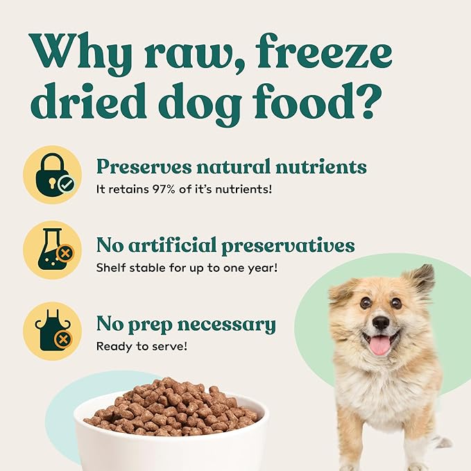 Little Hunter Freeze Dried Lamb Raw Dog Food | Grain Free, Limited Ingredient, Single Protein Meal or Mix in Topper | Novel Protein Kibble Alternative | 15 oz Bag