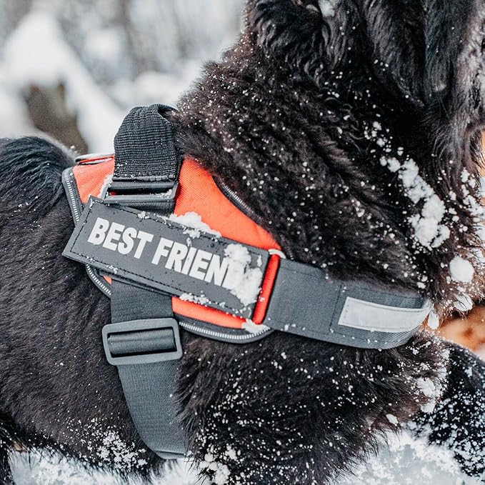Personalized No-Pull Dog Harness with Name Patch, Adjustable, Reflective, Padded, Heavy Duty Pet Vest to Prevent Tugging, Pulling, or Choking, Training and Walking, Orange, XL