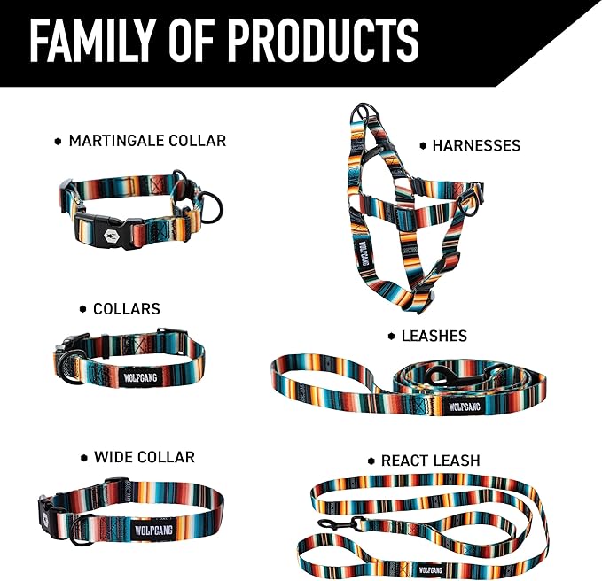 Wolfgang Heavy Duty, Adjustable Dog Collar with Quick Release Nylon Buckle for Walking & Training, LostArt Print, Medium