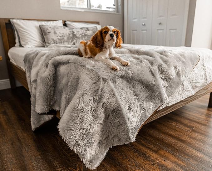 PupProtector Waterproof Throw Blanket for Dogs and Cats, Pet Blanket Cover for Couches, Sofas, Beds, Car Seats, Furniture, Calming Soft Faux Fur, Short Grey, Large (80" L x 62" W)