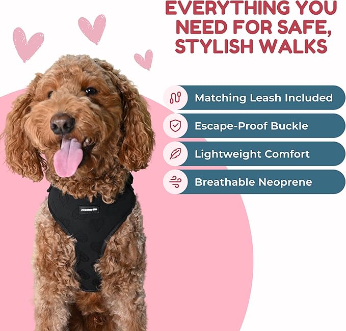 No Pull Neoprene Dog Harness and Leash Set for Extra Small Dog, Neck(8.6–12.2 in), Adjustable Soft Mesh Design, Black XXS -Lightweight No Choke Fit, Step-in, Escape-Proof Comfort
