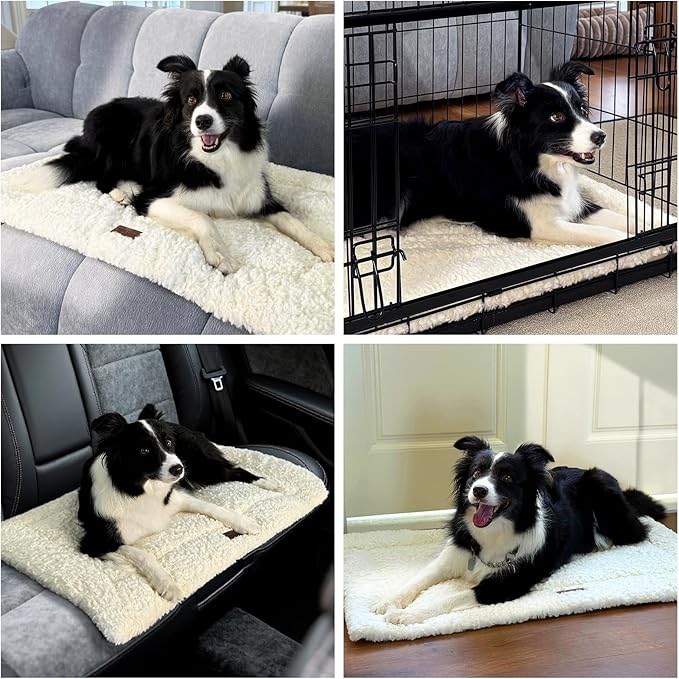 Fluffy Reversible Dog Bed Mat - Ultra Soft & Machine Washable Dog Crate Pad fit for Metal Kennel, Cozy Sleeping Mat, 47" x 29", Beige