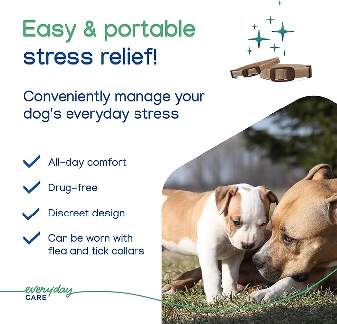 Virbac ZENIDOG Long Acting Dog Calming Pheromone Collar for Stress Relief, Medium/Large Dog - Lasts up to 3 Months