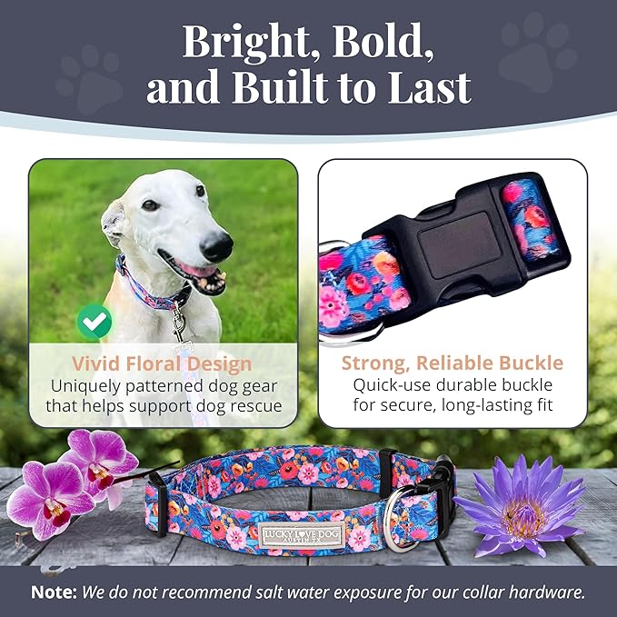 Lucky Love Dog - Adjustable Dog Collar with Easy Click Buckle for Small to Large Dogs, Durable, & Comfortable Collar for Male & Female Dogs, Pet Collar for Puppies & Adult Dogs - Zuzu, XS