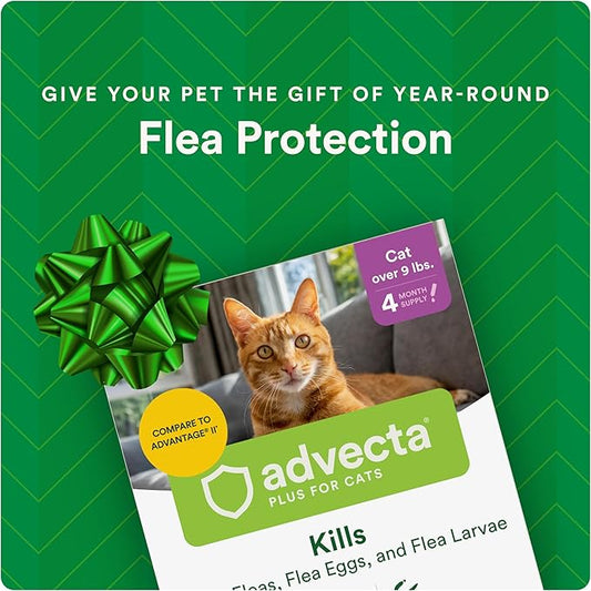 Advecta Plus Topical Large Cat Flea Treatment for Cats and Kittens, Flea Prevention and Control, Fast-Acting Waterproof Drops, 4-Month Supply