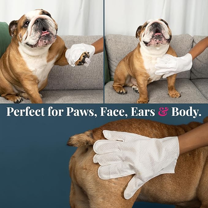 Dr. Paws Glove & Go Grooming Wipes for Dogs & Cats - Paraben Free, Alcohol Free, Lick-Safe, Hypoallergenic, Oatmeal Scented Dog Wipes for Paws and Butt, Puppy Wipes (20 Count)