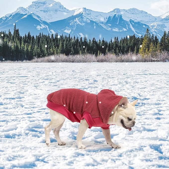 BINGPET Warm Dog Fleece Sweater with Leash Hole, Hood and Collar, Cold Weather Dog Coat for Boys & Girls - Pink(S)