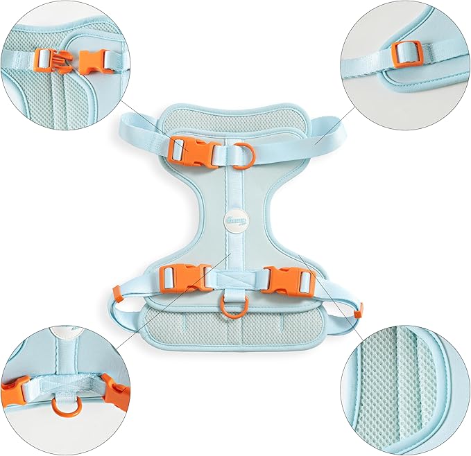 HNS1003D Arlo Large Adjustable Soft Padded No Pull Pet Harness with 3 Buckles and 3 Leash Clips, Fishbowl