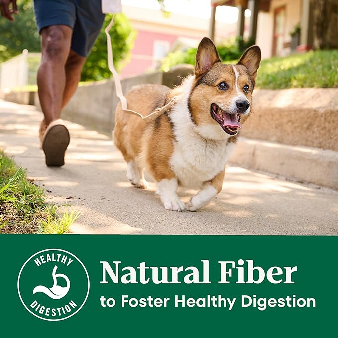 Nutro Natural Choice Lamb & Brown Rice Senior Dog Food Dry Recipe, 30 lb. Bag