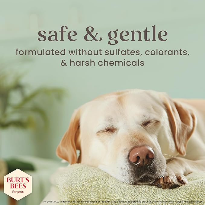 Burt’s Bees for Pets Manuka Honey Tearless 2 in 1 Shampoo and Conditioner for Puppies with Jojoba Oil, 16 Fl Oz
