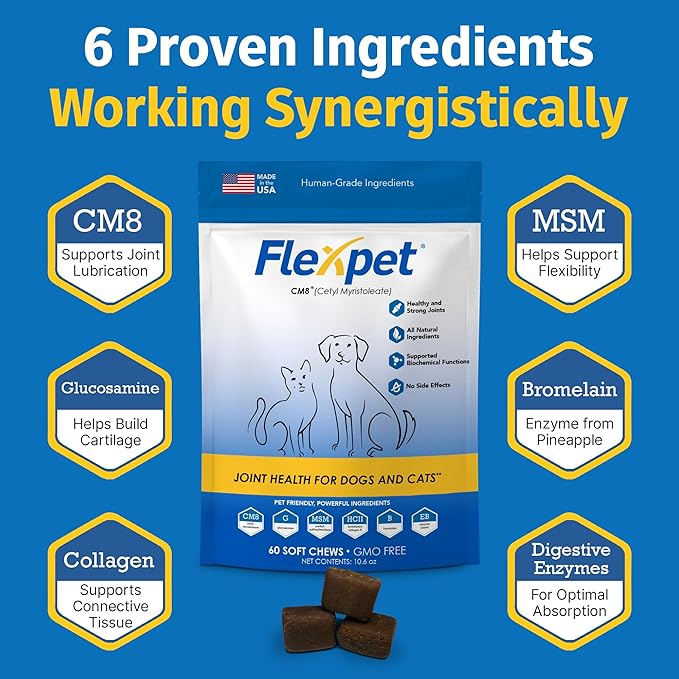 Hip & Joint Supplement for Dogs & Cats with Cetyl Myristoleate, Glucosamine, Collagen, MSM - Max Strength Joint Support for Mobility, Senior Pets, Large Breeds - 60 Soft Chews (Bacon/Cheese)