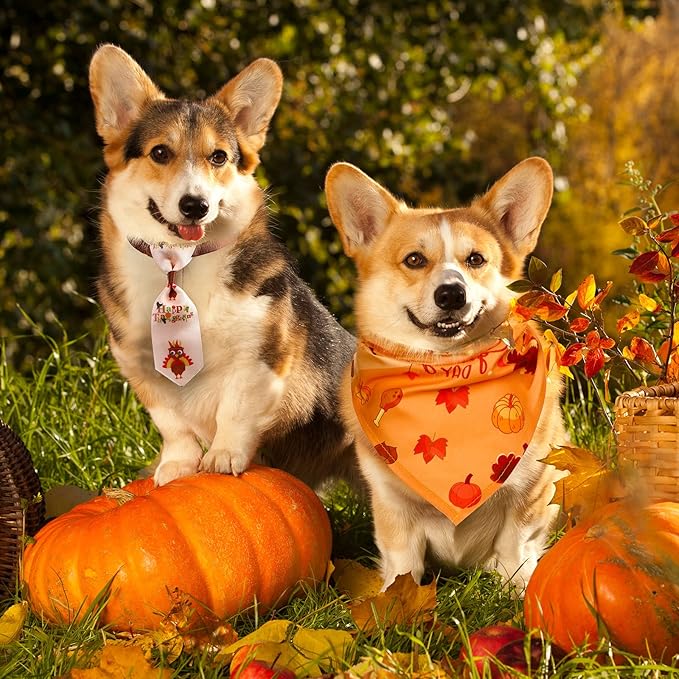 Reginary 40 Pcs Thanksgiving Dog Bow Ties Set 26 Fall Pet Bow Ties 10 Turkey Maple Leaf Neckties 4 Autumn Dog Bandana for Puppy Thanksgiving Grooming Accessories